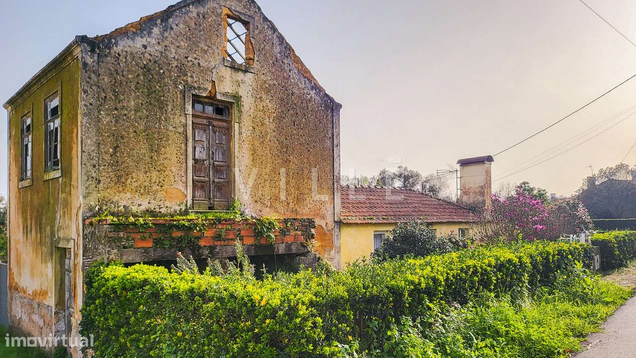 Moradia T3 Venda em Valongo do Vouga,Águeda - Grande imagem: 5/29
