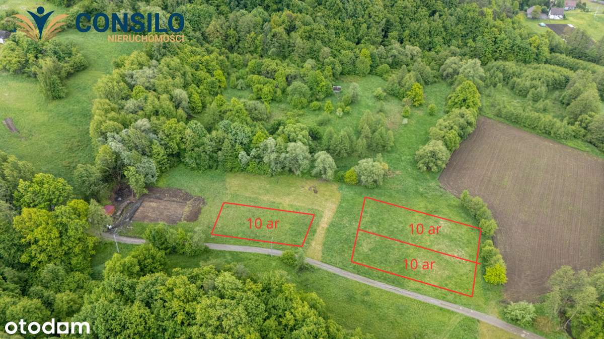 Działka w otoczeniu zieleni, cisza i spokój - Pełny obrazek: 4/6