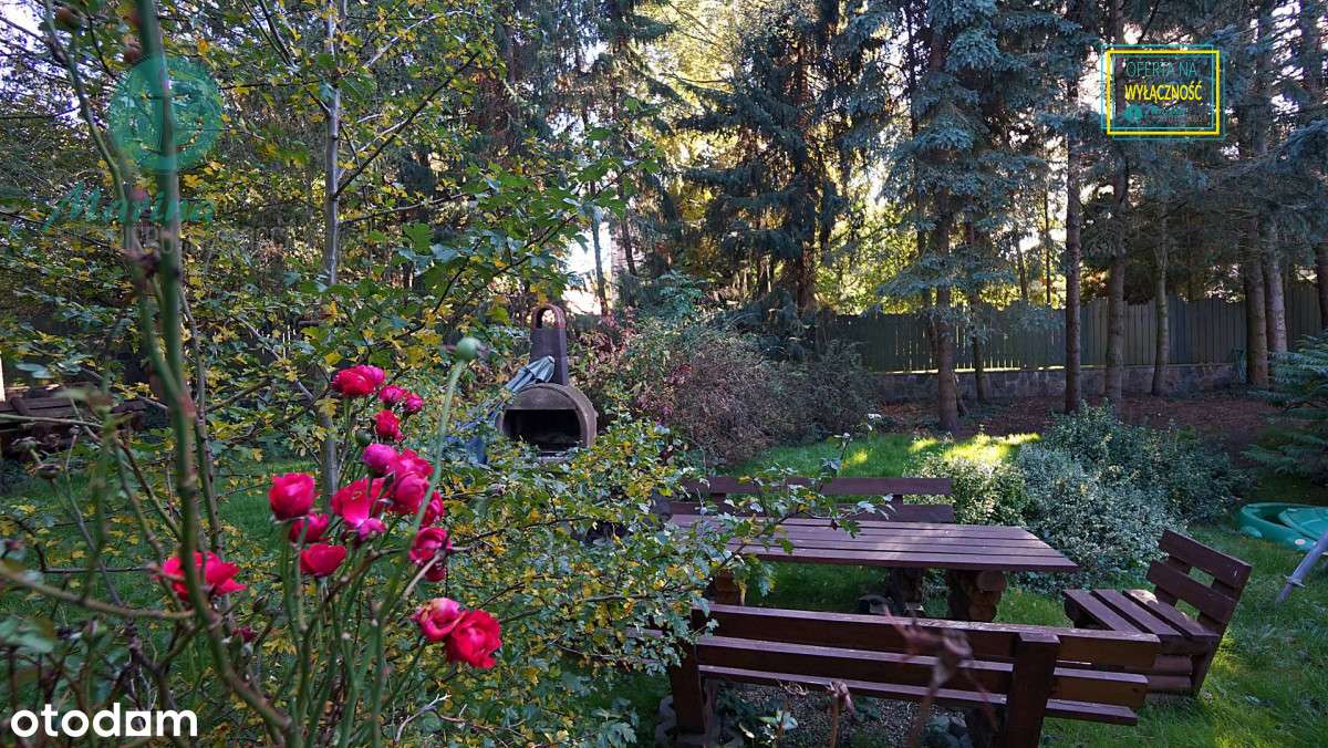 Dom przy plaży - 300 metrów od morza !-6