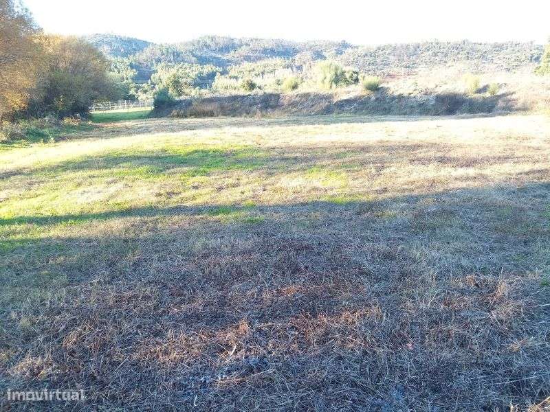 Terreno de 1,3 Ha com Ribeiro e Viabilidade de Construção - Grande imagem: 5/11