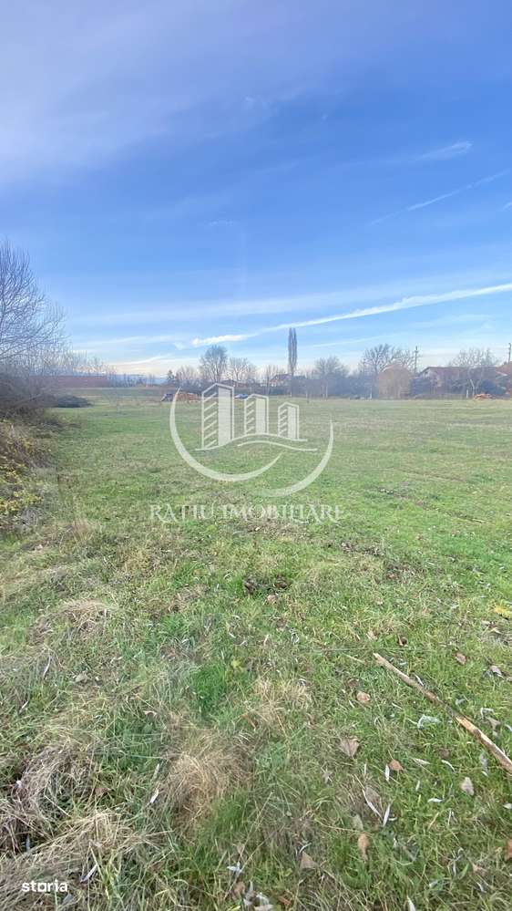 EXCLUSIV | TEREN INTRAVILAN | INVESTIȚIE | BEIUȘ – STR. PLOPILOR | 13. - Imagine principală: 4/8