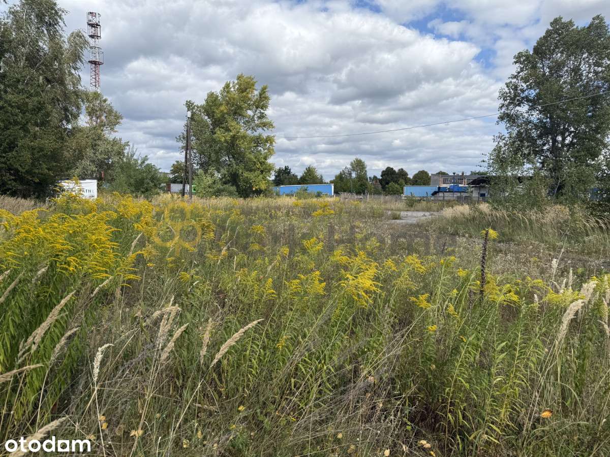 Na sprzedaż działka 48 arów – ul. Spółdzielcza - Pełny obrazek: 4/4