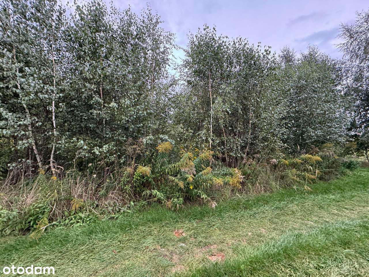 Dachowa | Dwie działki budowlane, łacznie  1552 m² z MPZP-10