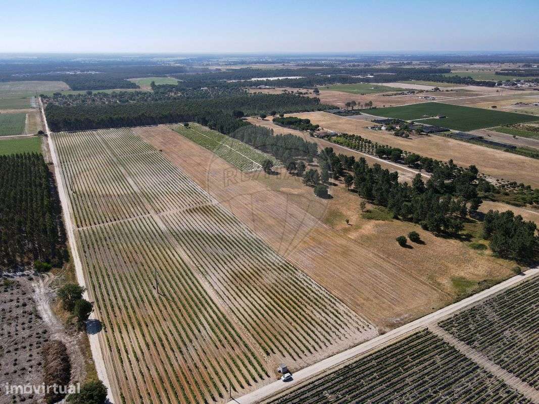 Terreno  para venda - Grande imagem: 4/19