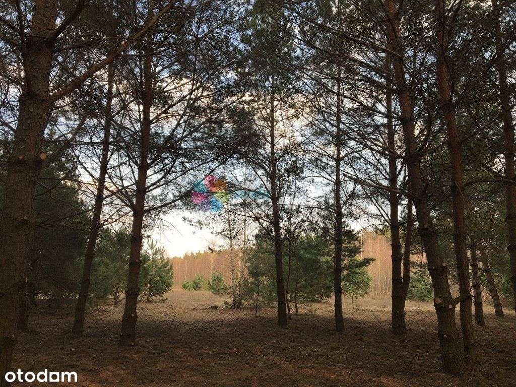 Działka budowlana, rejon ul. Skowronków/Spacerowej - Pełny obrazek: 4/5