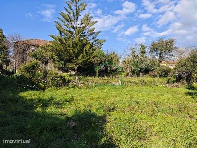 Quintinha em Riba de Âncora, com casa em pedra para recuperar . - Grande imagem: 5/6