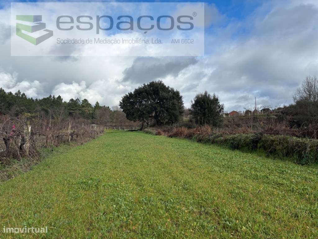 Magnifica Quinta a confinar com Rio Zêzere-9