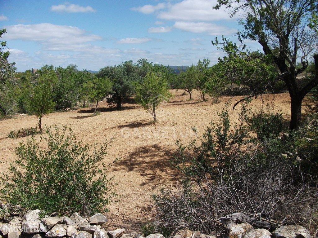 Terreno Rústico no Serro Alto, Loulé, Algarve