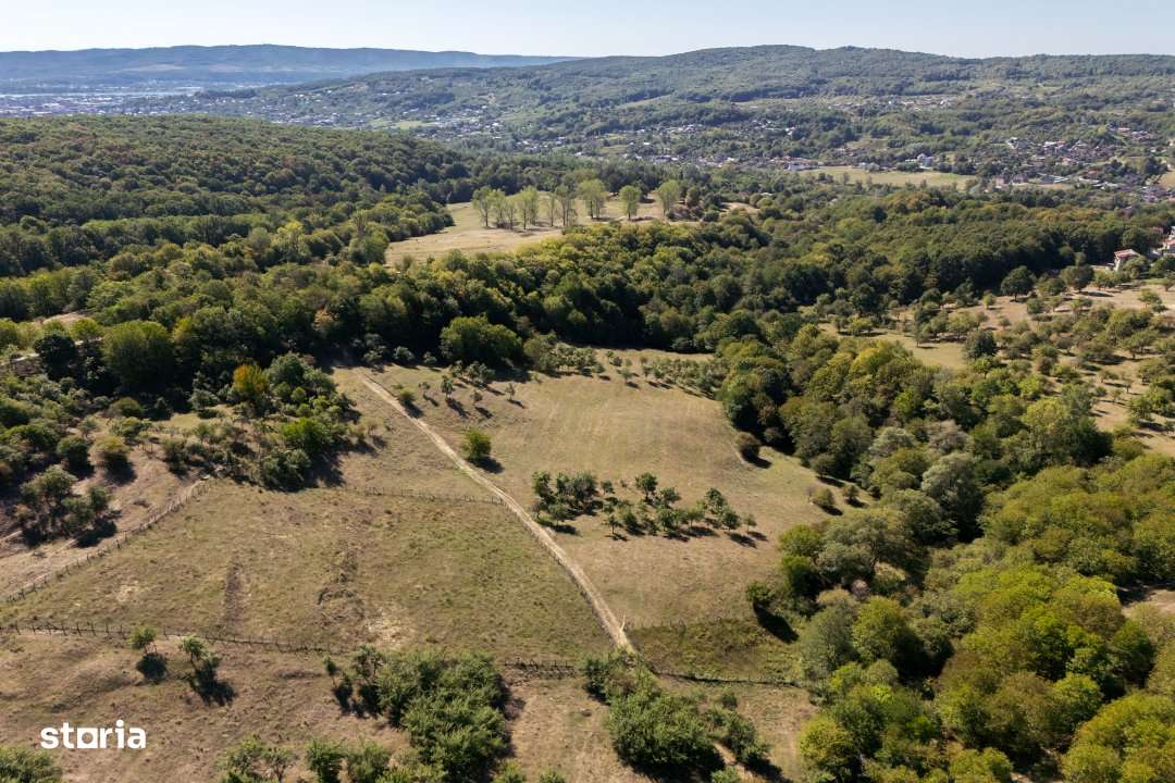 Terenuri 12.225 mp - Ramnicu Valcea, Aranghel - Imagine principală: 2/14