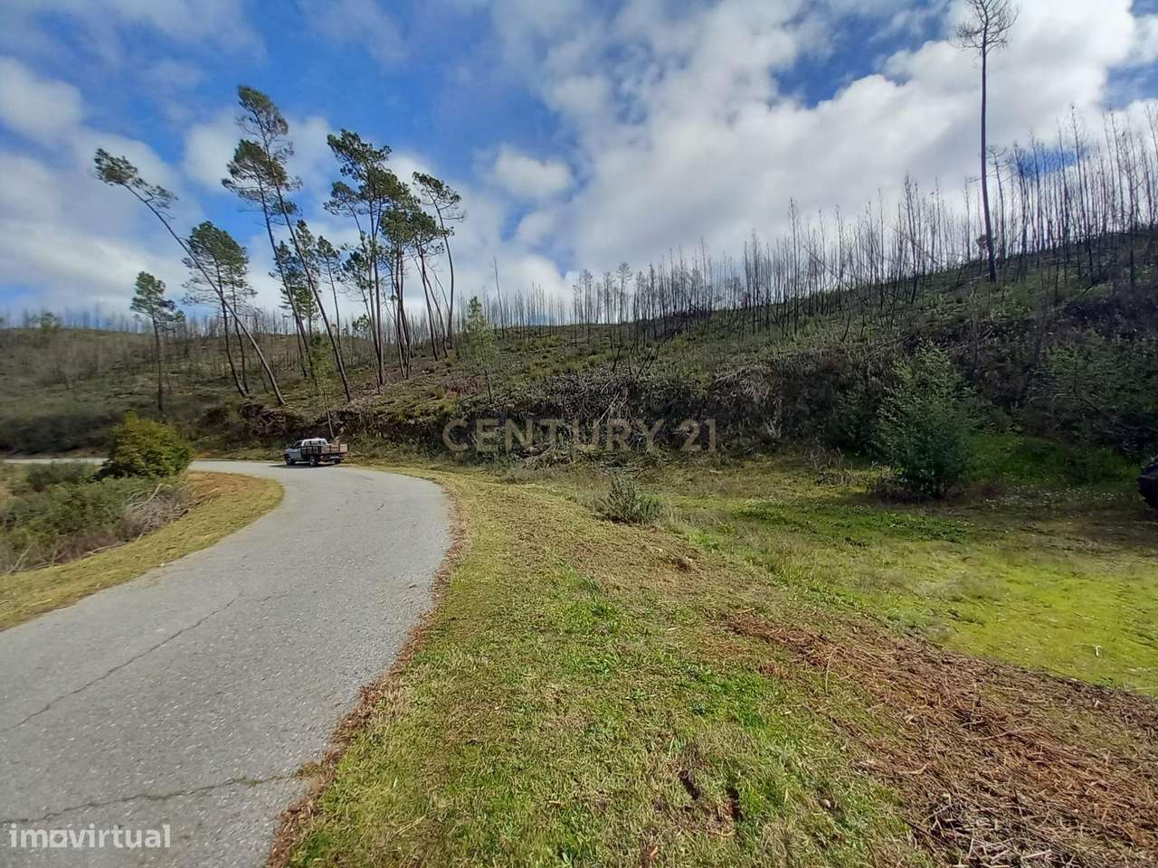 Terreno Rustico com 1450m2 Cerejeira-Alvito da Beira - Grande imagem: 5/9