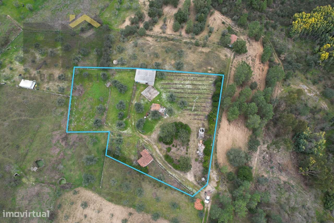 Quintinha  Venda em Freixial e Juncal do Campo,Castelo Branco - Grande imagem: 2/38