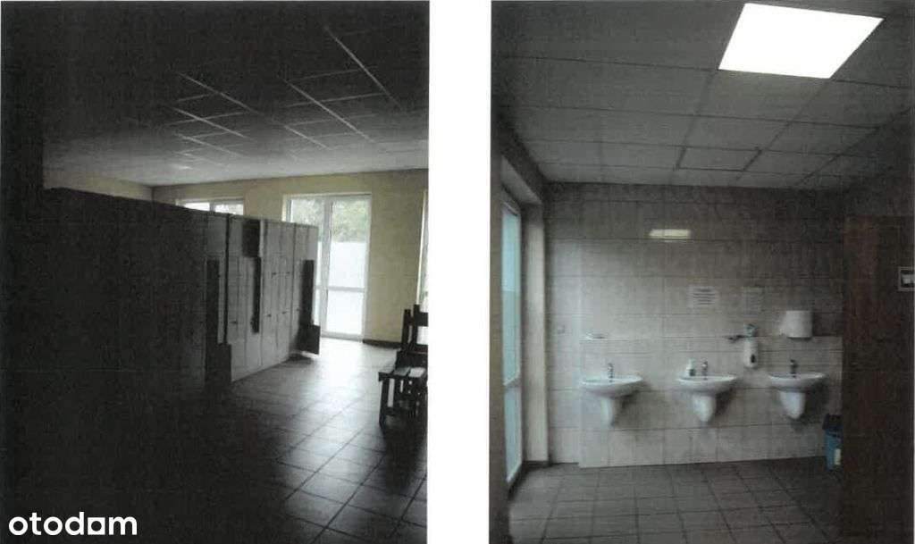 Komercyjnie zabudowane działki + hale namiotowe - Pełny obrazek: 5/13