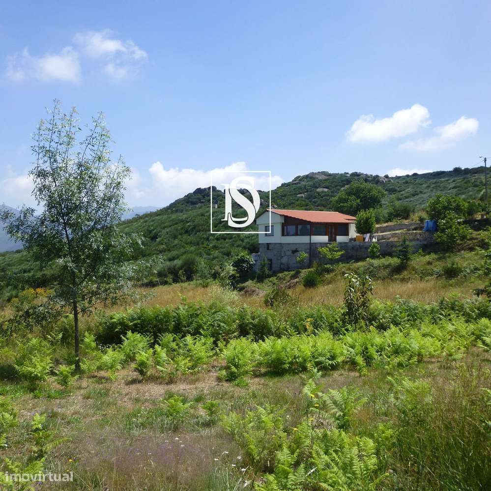 MORADIA T1 RENOVADA COM 10.000 m² – BUSTELO, AMARANTE-12