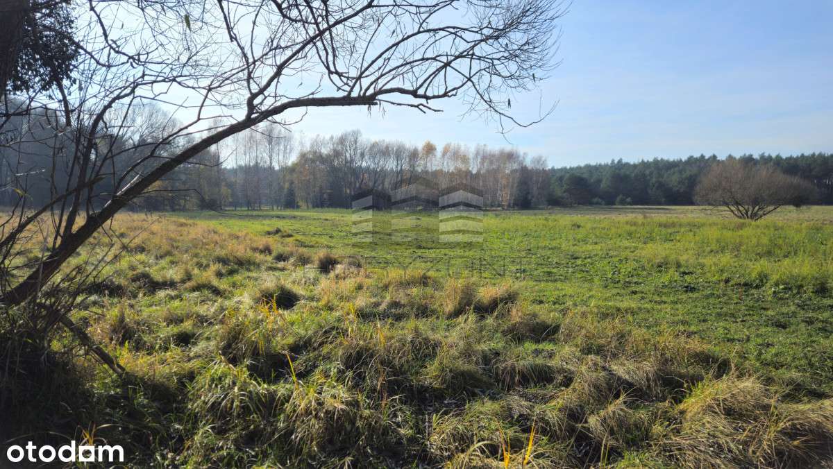 Zamość - 9534m2, WZ na 9domów-doskonała inwestycja - Pełny obrazek: 3/10