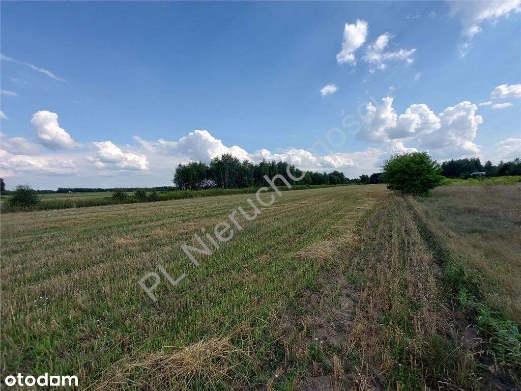 Wymiarowa Działka. Cisza I Spokój.-4