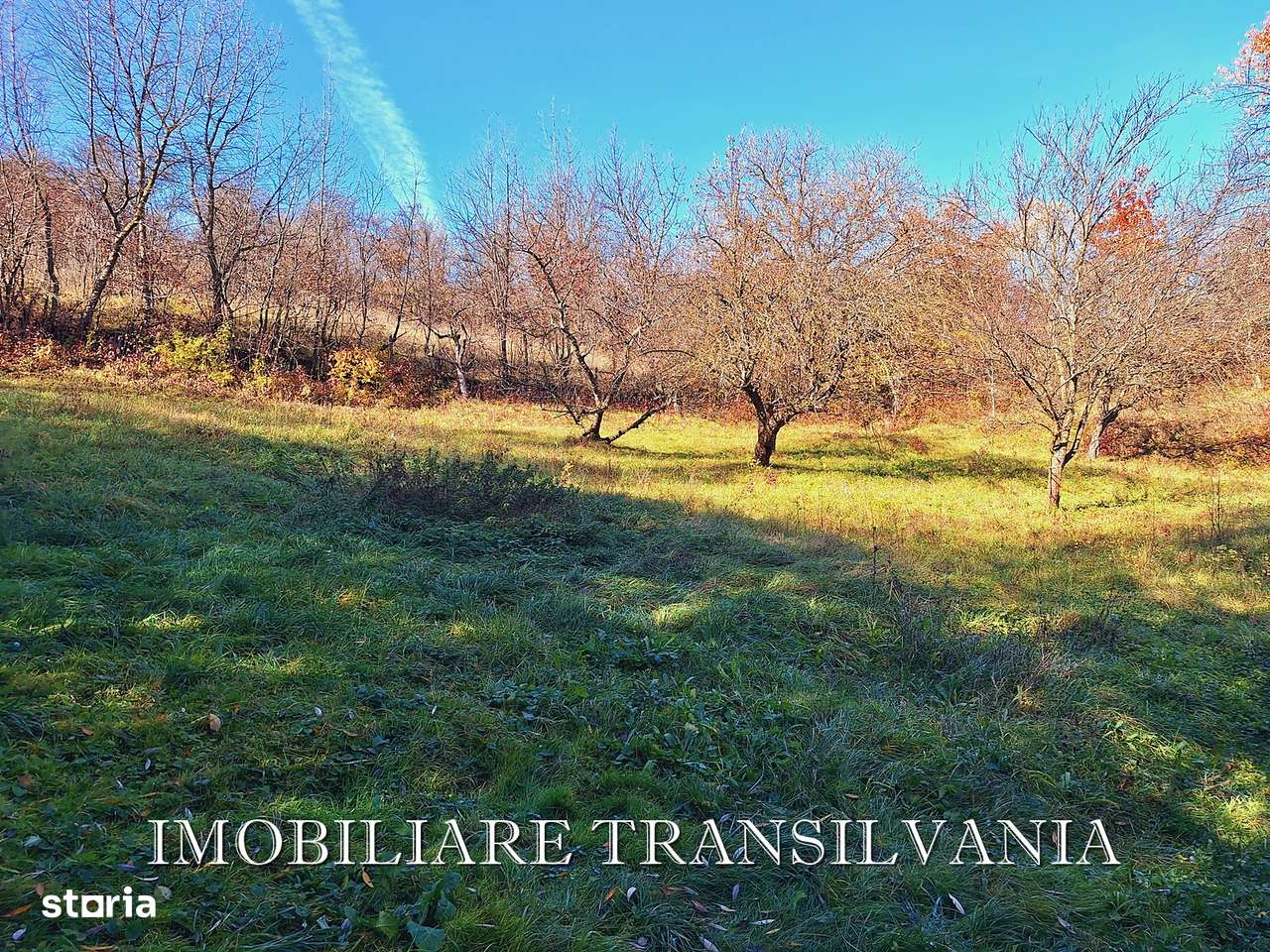 Teren intravilan 4200mp si casa - Valea Budacului-7