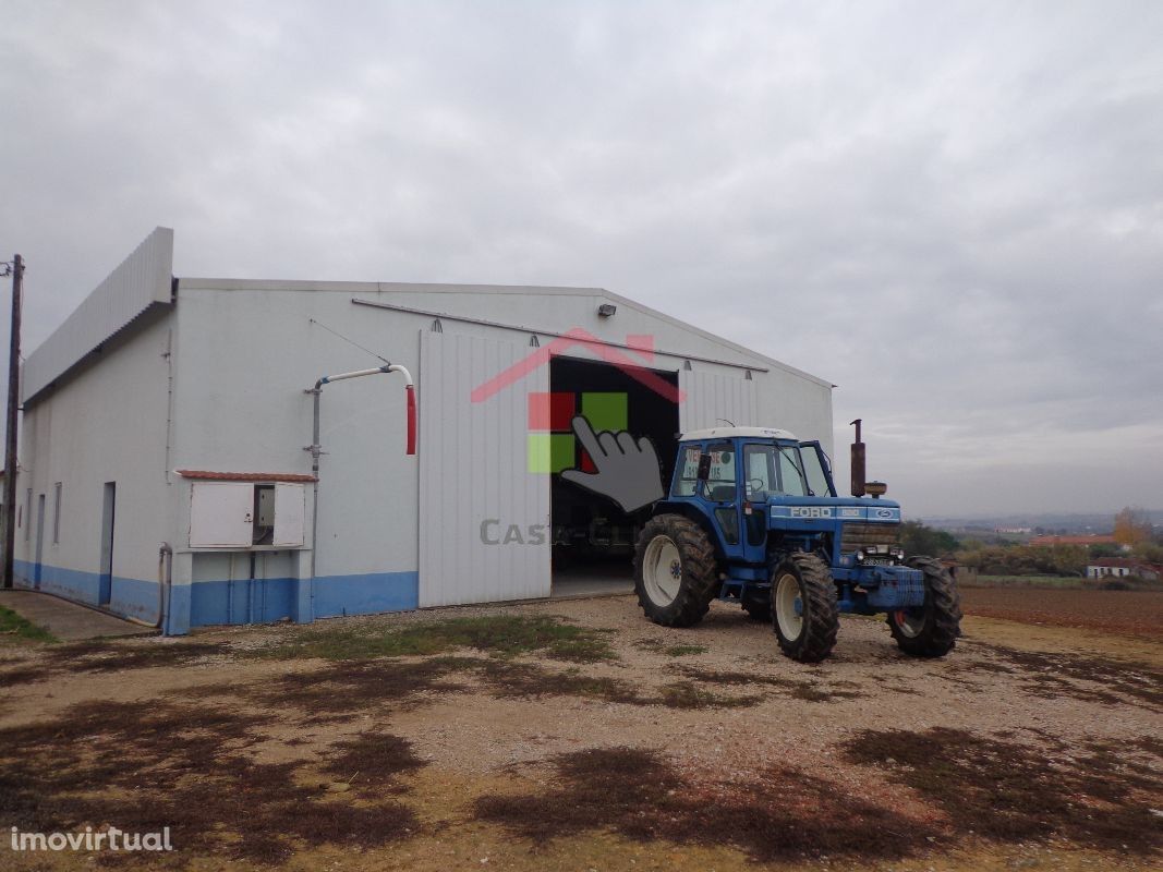 Armazém T0 Venda em Brogueira, Parceiros de Igreja e Alcorochel,Torres