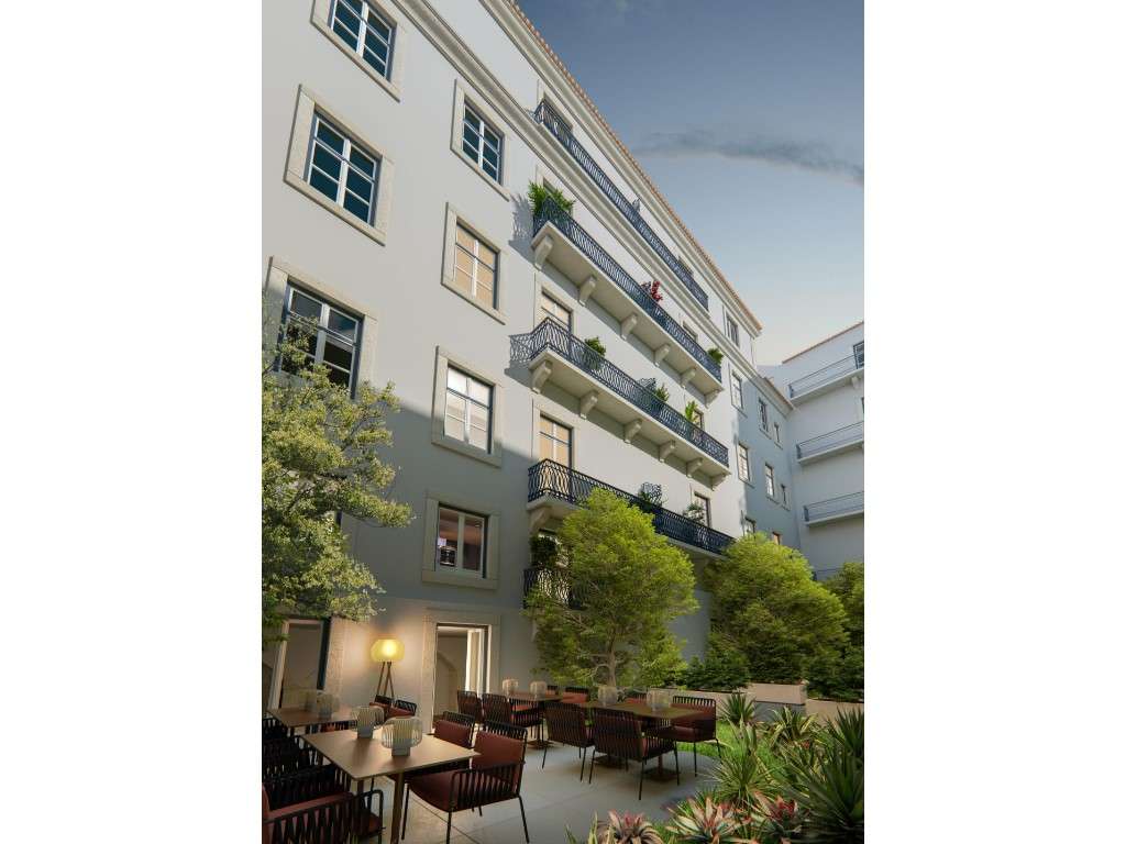 Ando Living Santos - Grande imagem: 4/12