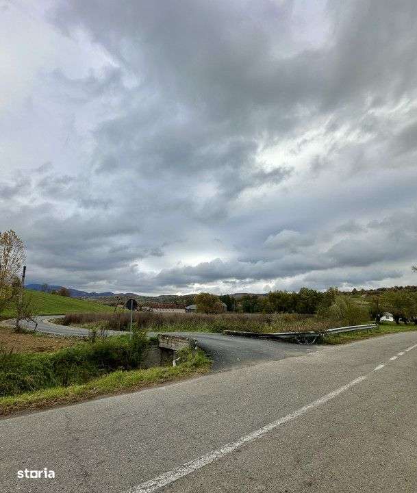 Teren intravilan 3.749 mp – Beznea, com. Bratca, jud. Bihor - Imagine principală: 2/4