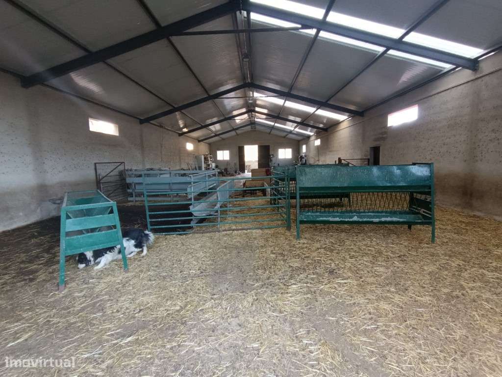 Imóvel para Queijaria - Grande imagem: 4/22