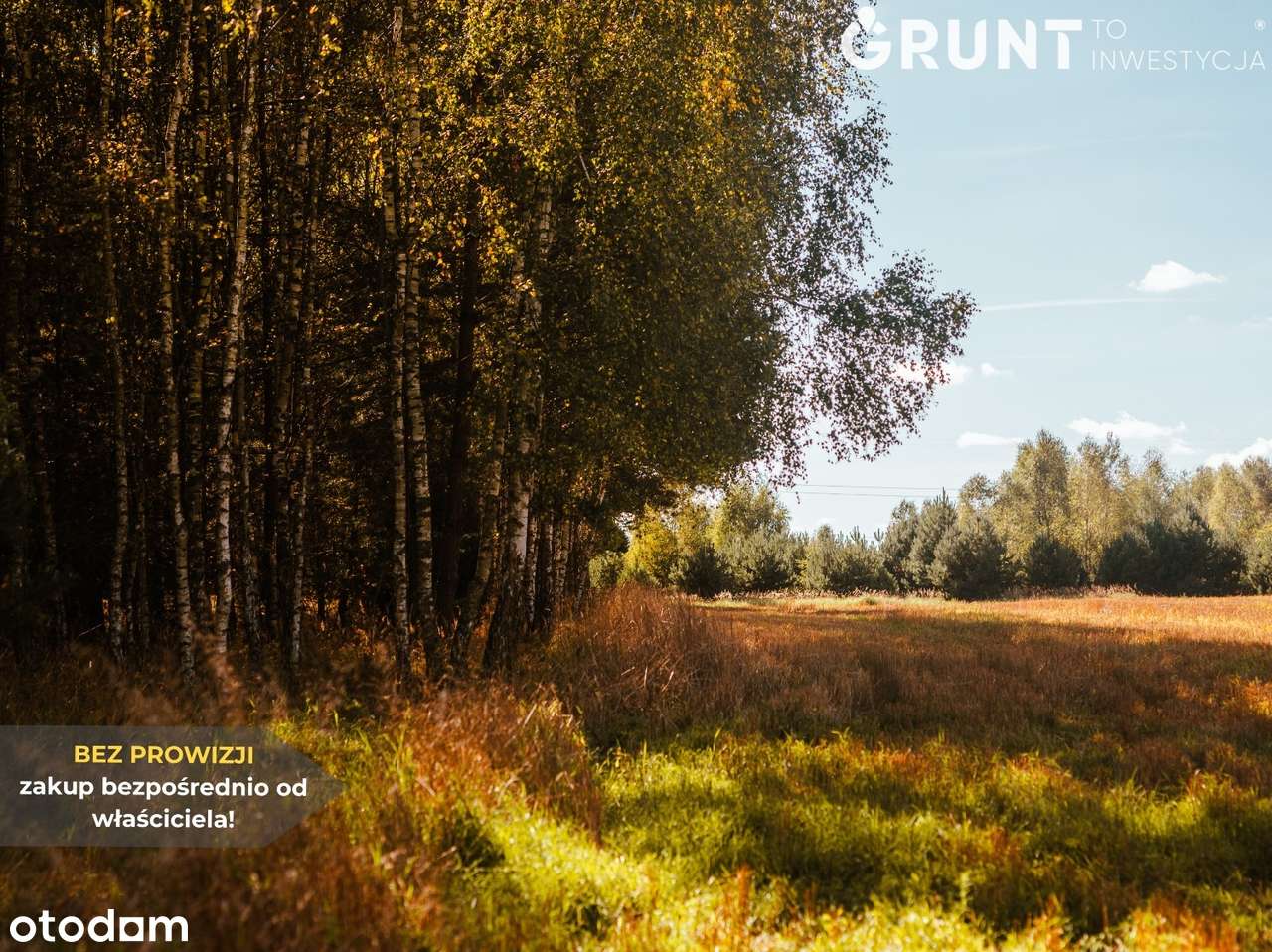 Działki w sąsiedztwie zalewu, droga asfaltowa-7