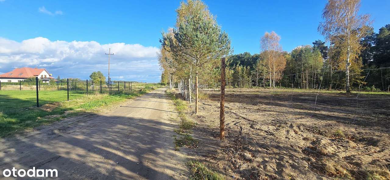 DUŻA DZIAŁKA NA GRANICY LASU Z WARUNKAMI ZABUDOWY - Pełny obrazek: 4/14