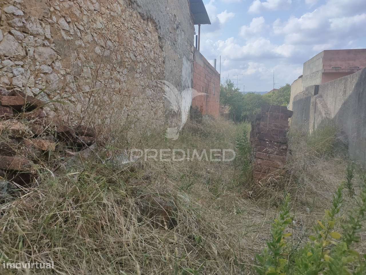 Terreno - Amiais de Baixo, Santarém - Grande imagem: 4/10