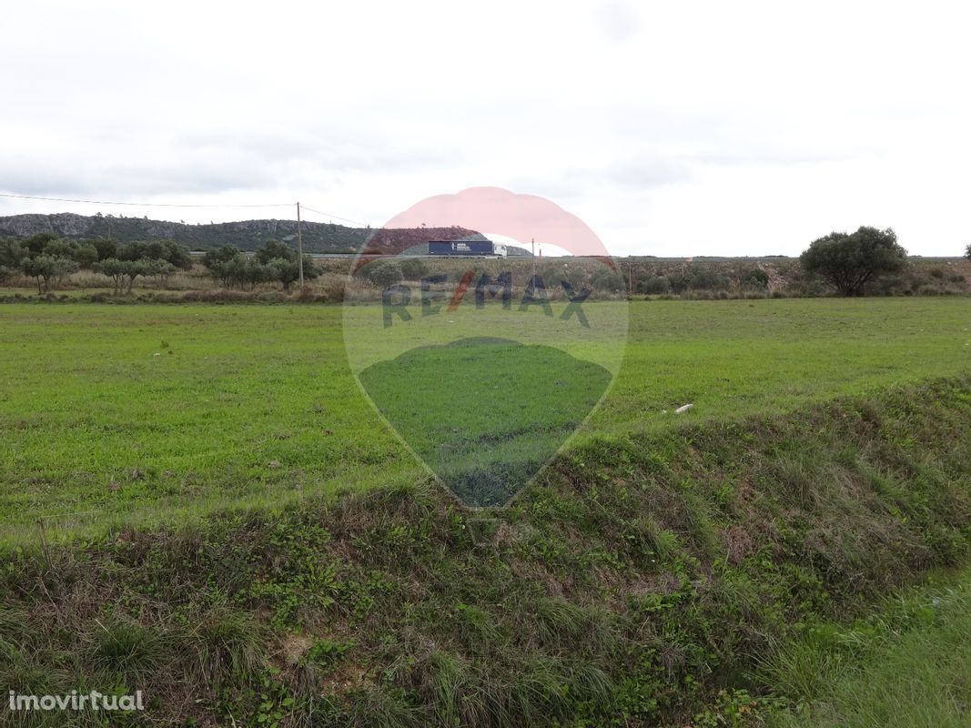 Terreno  para venda