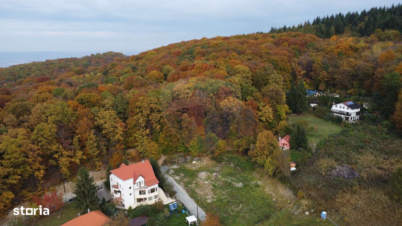 Teren de vanzare în Faget 1542 mp cu panorama-15