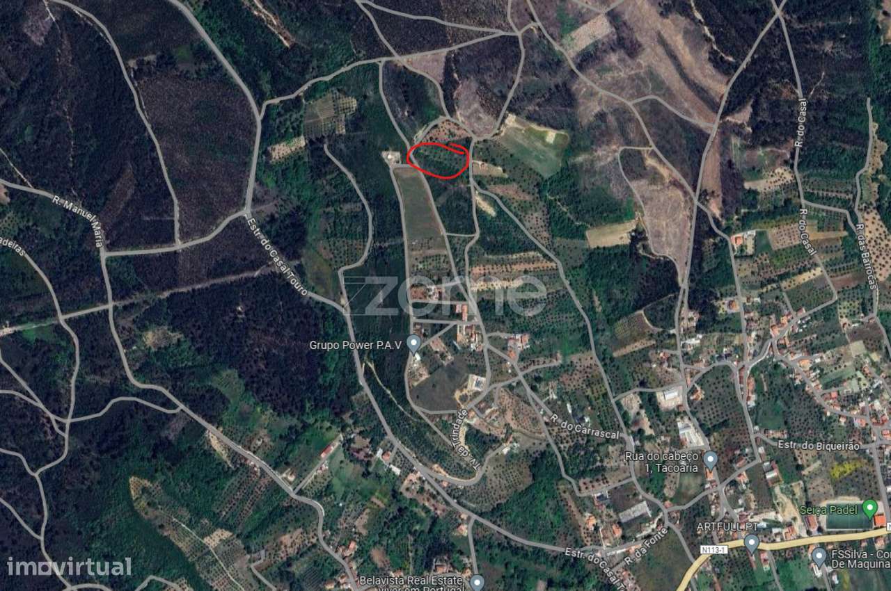 Pinhal - Grande imagem: 4/7