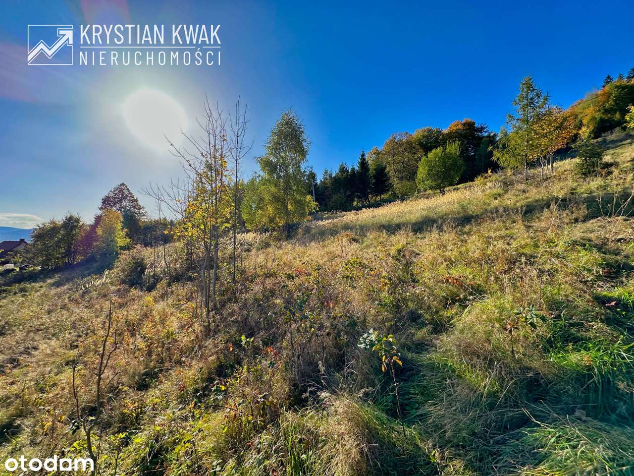 Małe widokowe działki w górach Jeleśnia Janiki-8