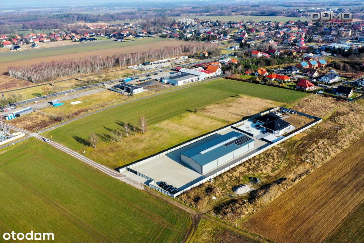 Działka usługowo-budowalna w Kruszynie - Pełny obrazek: 5/7