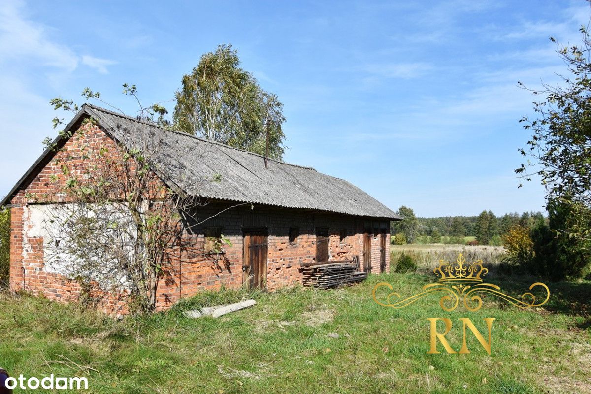 dom duża działka rzeka las