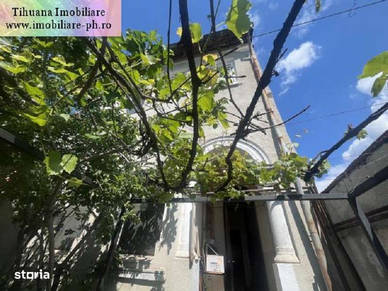 Casa de vanzare - Central-14