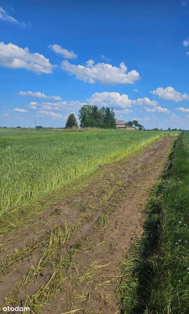 Działka budowlana Wielki Bukowiec dz.nr 619/1-6