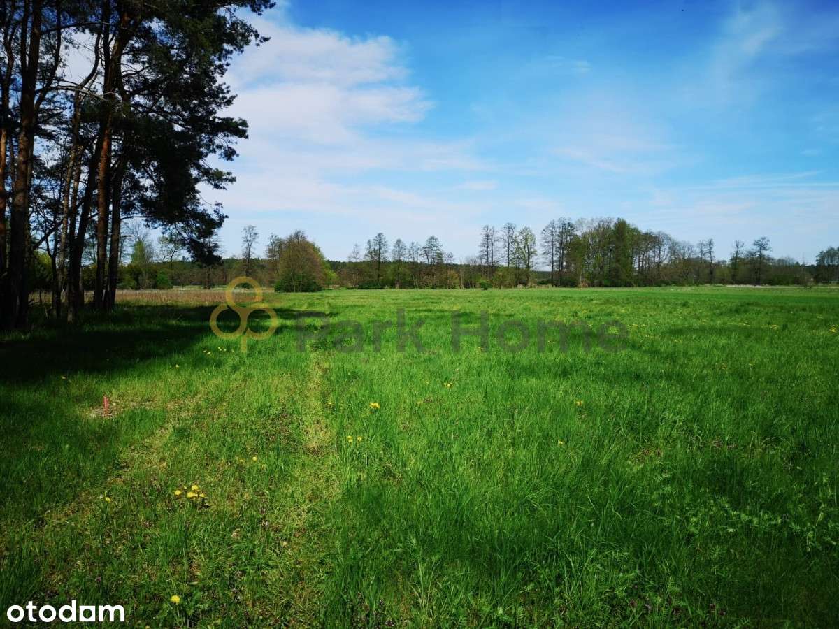 Działki budowlane Nowa Sól - Nowe Żabno - Pełny obrazek: 4/5