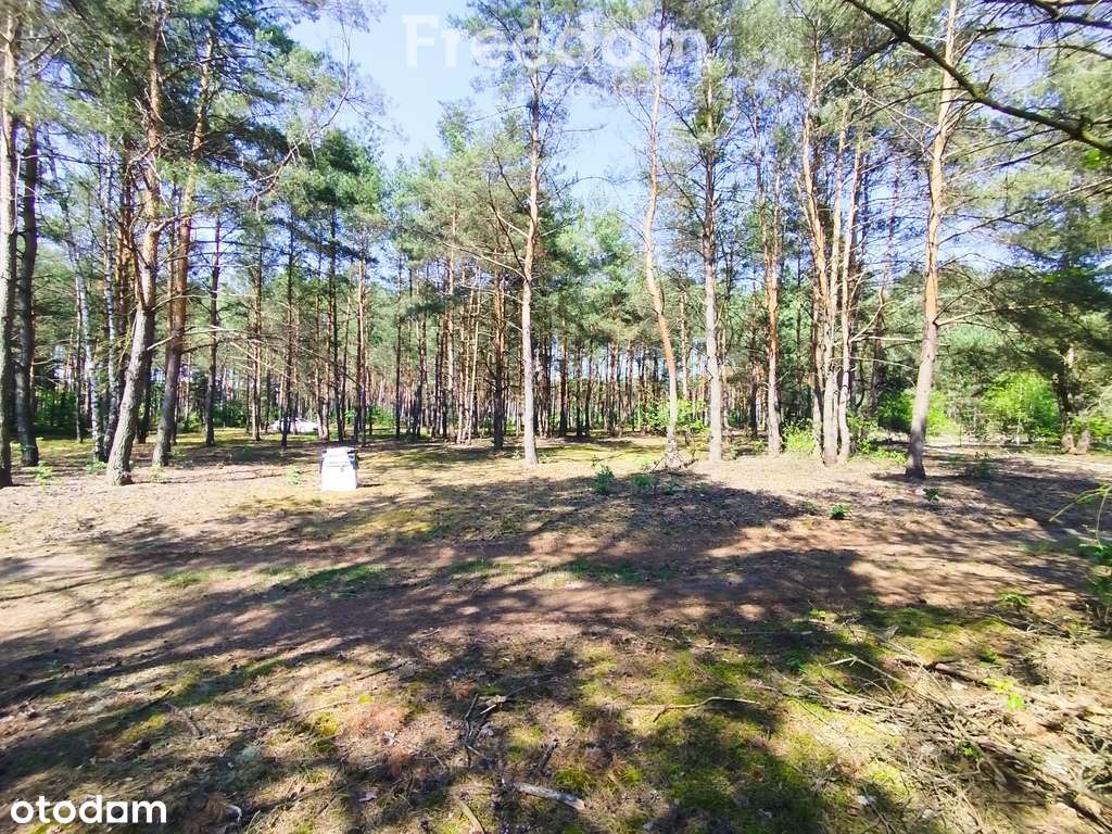 Ostatnia działka rekreacyjna w Białej Górze - Pełny obrazek: 3/3