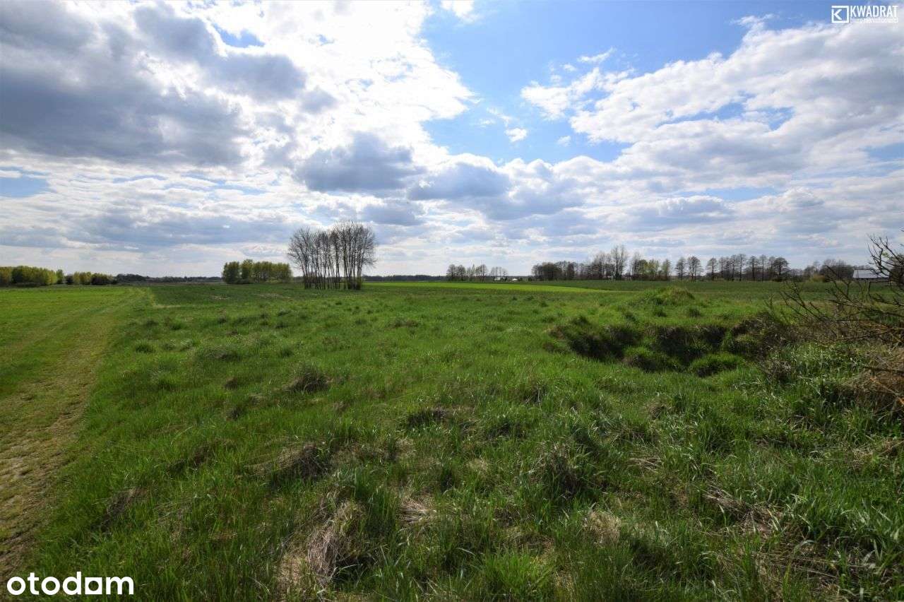 Działka rekreacyjna/ 70a/ w pobliżu jez. Izdebno - Pełny obrazek: 5/7