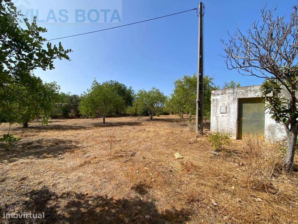 2 Terrenos Para Venda em Estoi - Grande imagem: 3/3