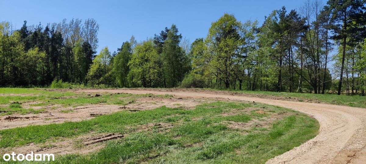 Działka budowlana przy lesie-6