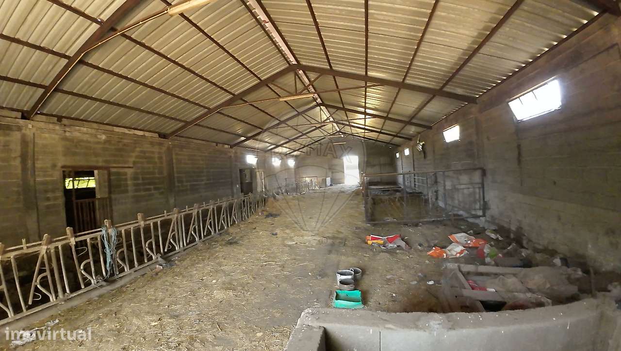 Armazém  para venda-7