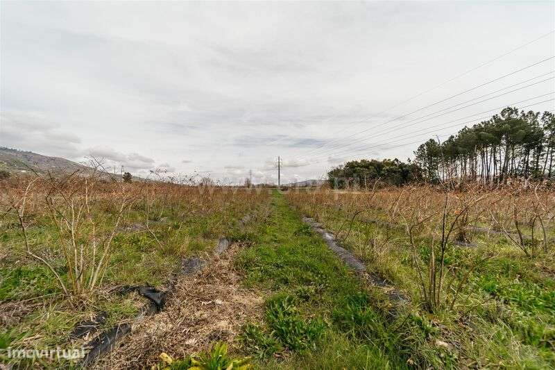 Terreno Rústico / Covilhã, Orjais - Grande imagem: 4/18