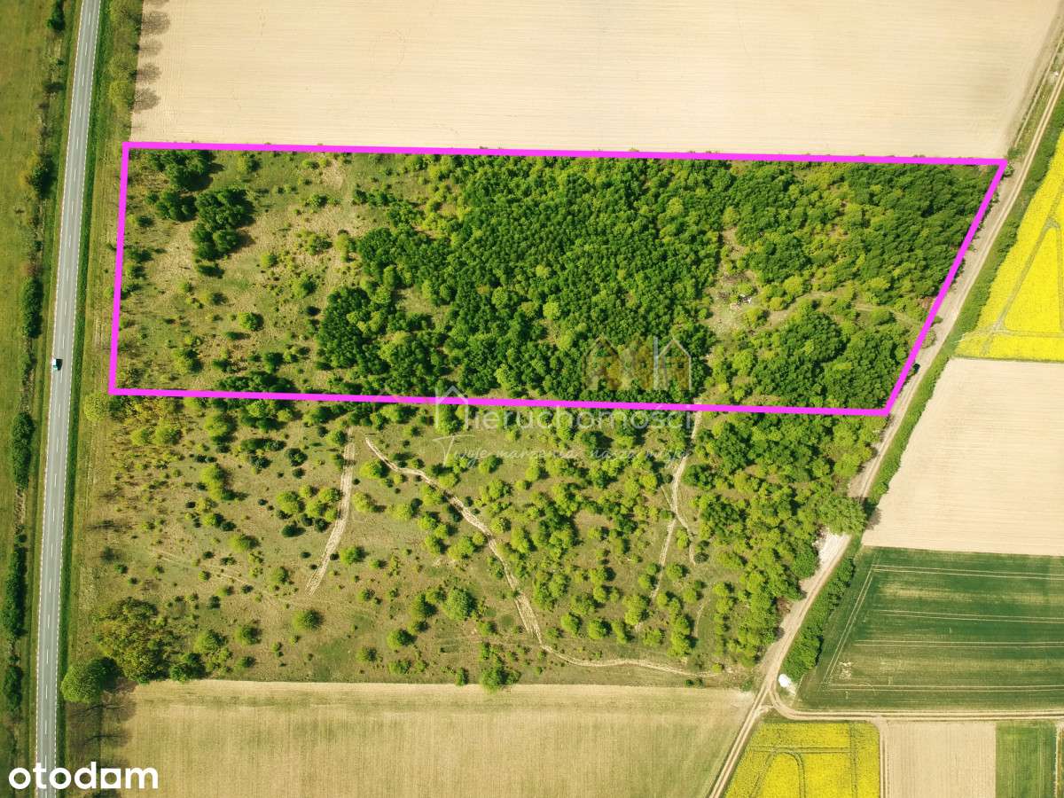 Na sprzedaż działka 2,55 ha z Mpzp 4U i 4mn,u - Pełny obrazek: 3/3