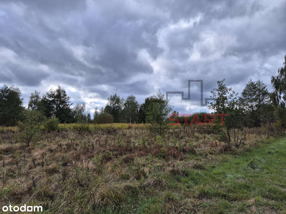 Duża ndziałka blisko Grodziska Maz - Pełny obrazek: 4/10