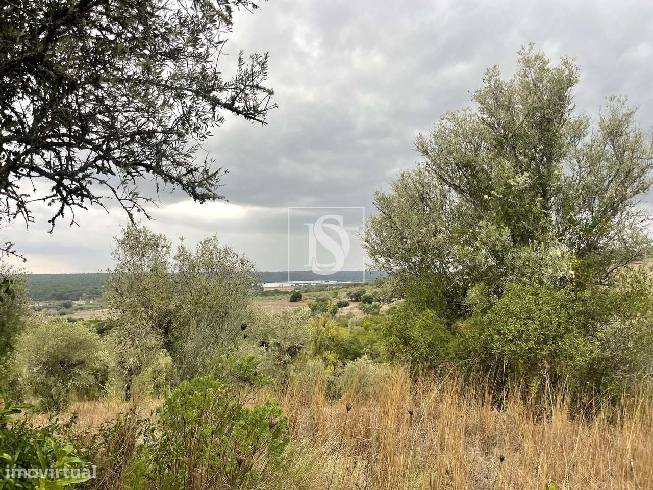 Quintinha em Montargil-27