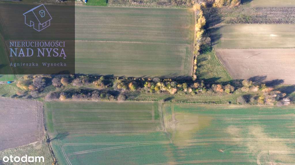 4 działki budowlane w Trójcy! - Pełny obrazek: 5/5