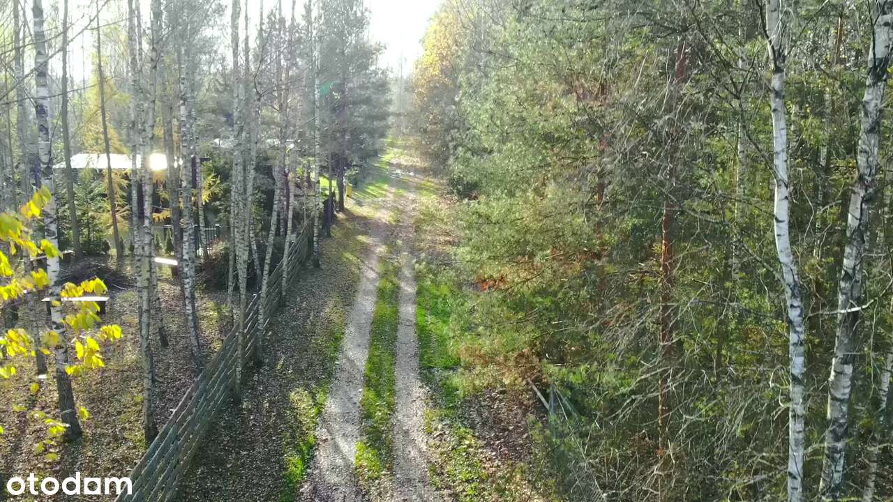 Piasutno. Działka rekreacyjna-14