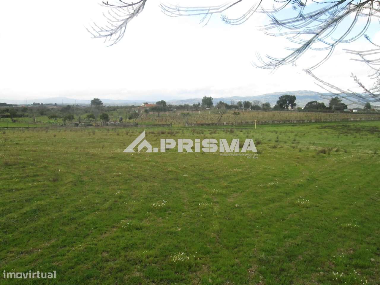 Terreno Rústico à Venda na Lardosa - Grande imagem: 4/38