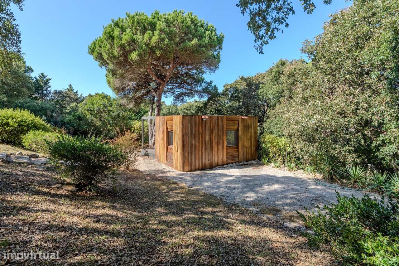 Arrendamento de Lodge T1 em Galamares - Grande imagem: 5/16