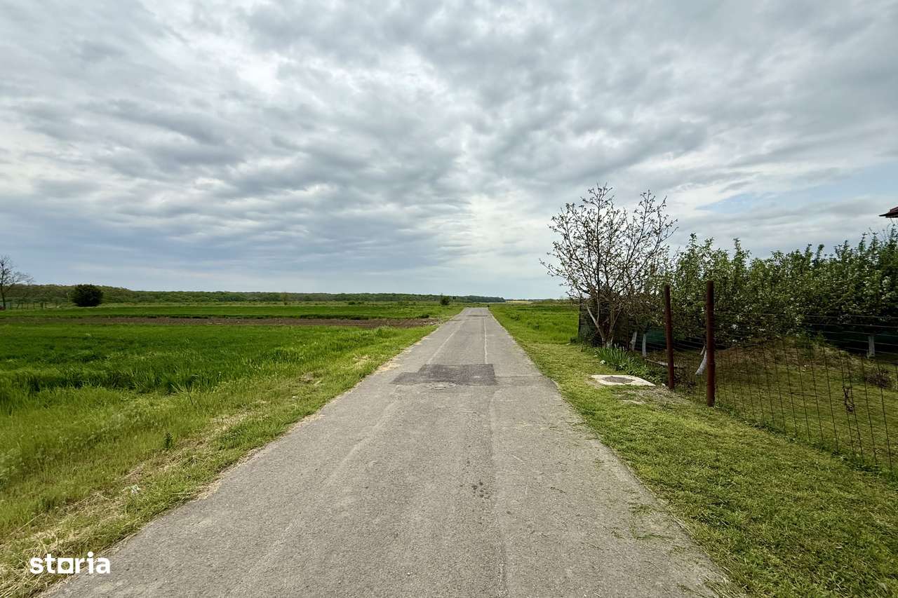 Teren intravilan de 1000 mp în Grădiștea, Ilfov – ideal pentru casa ta - Imagine principală: 5/7